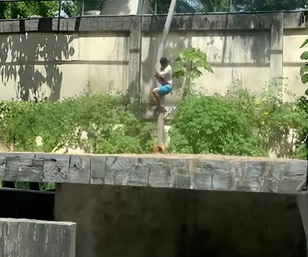 Teenage-mauled-by-lion