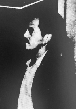José Misael Roldán Concha