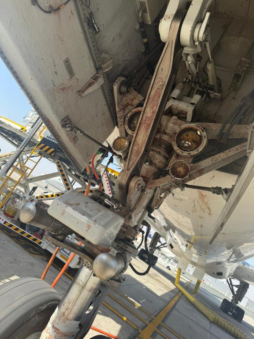 Saudia-Airlines-Flock