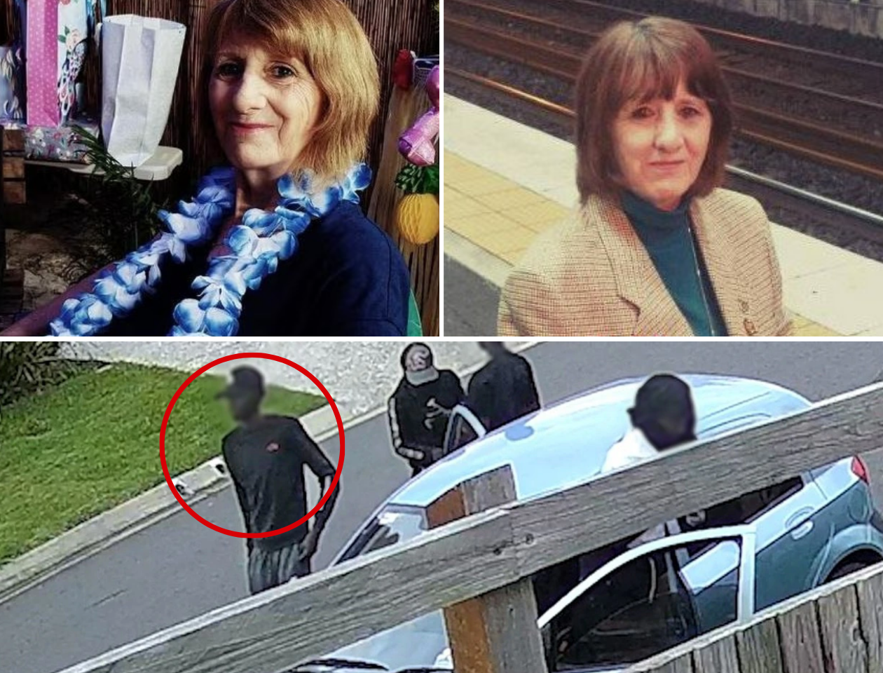 Teen Sentenced to 16 Years for Murder of Queensland Grandmother Vyleen White