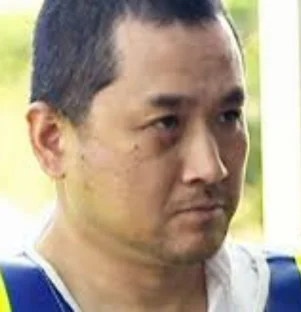 Vince Weiguang Li