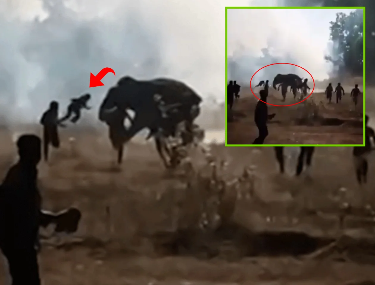 WATCH: Rogue Elephant Kills at Least 20 People in 10-Day Rampage Across Eastern India
