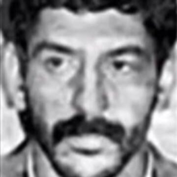 Majid Salek Mahmoudi