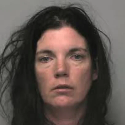 Fiona Donnison
