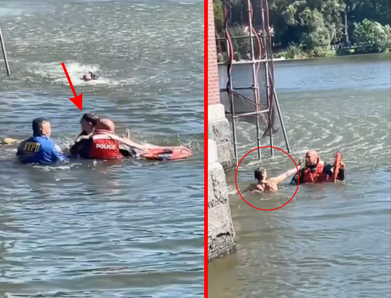 WATCH: Accused Thief Jumps Into Central Park Lake While Running From Police