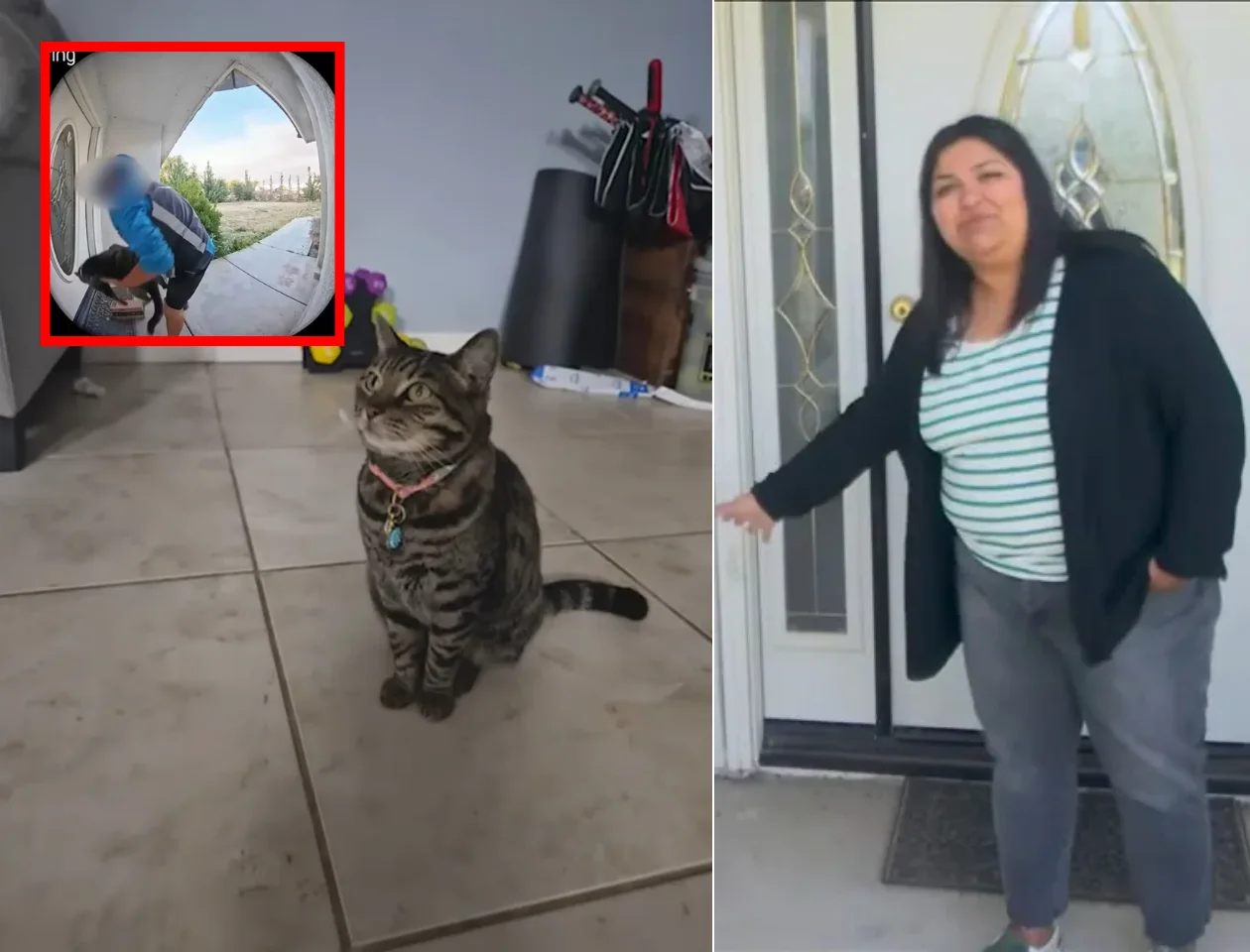 WATCH: Amazon Driver Claims Cat He Took From California Home Was Actually His Missing Pet