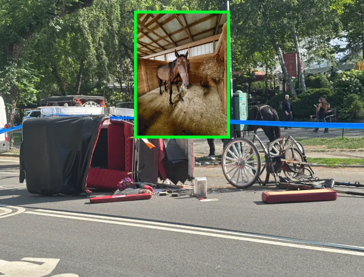 WATCH: Teen Tourist Killed After Runaway Carriage Horse Bolts Through Central Park