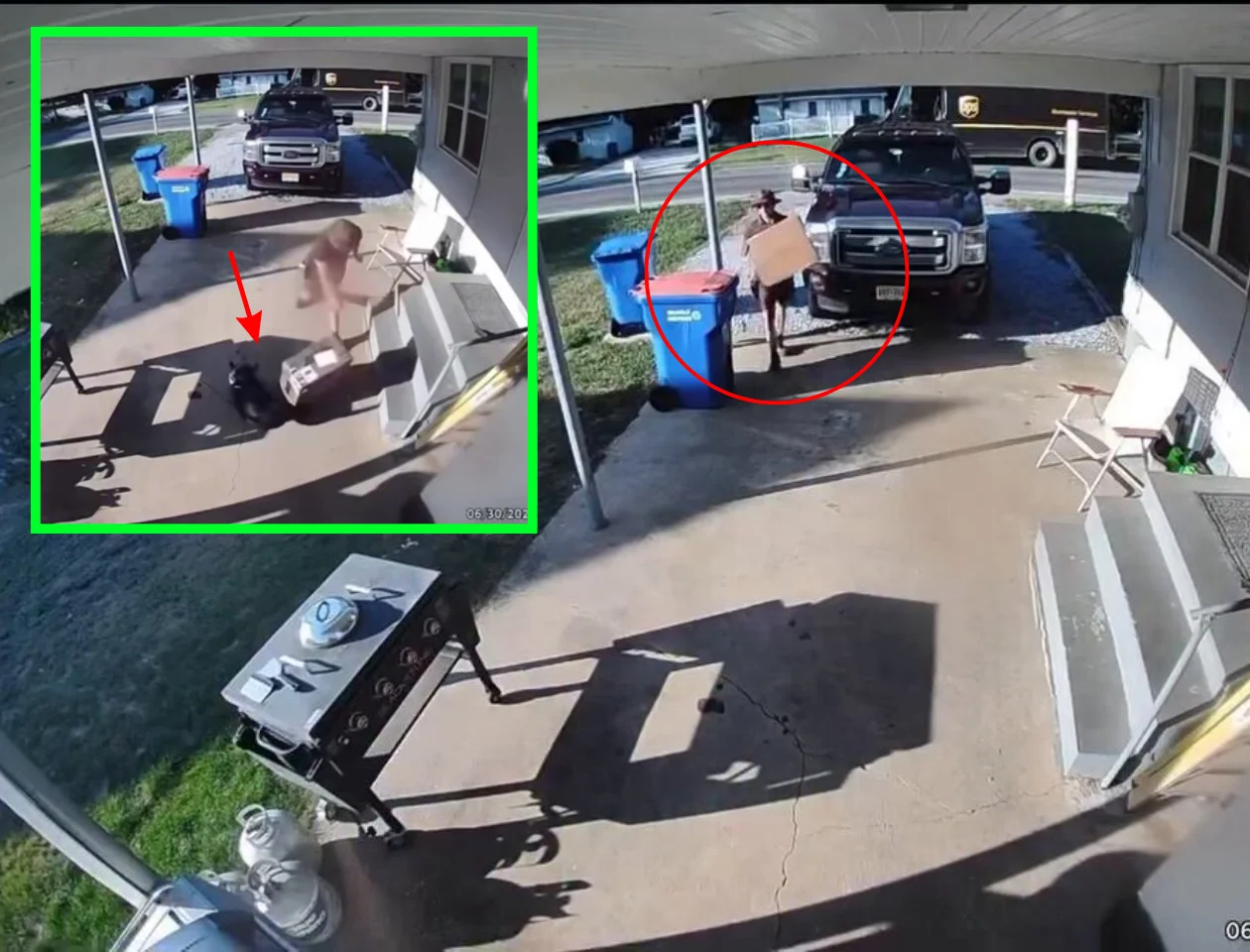 WATCH: UPS Driver Throws 30-Pound Box at Dog Sprinting at Him, Then Tries to Fight the Owner