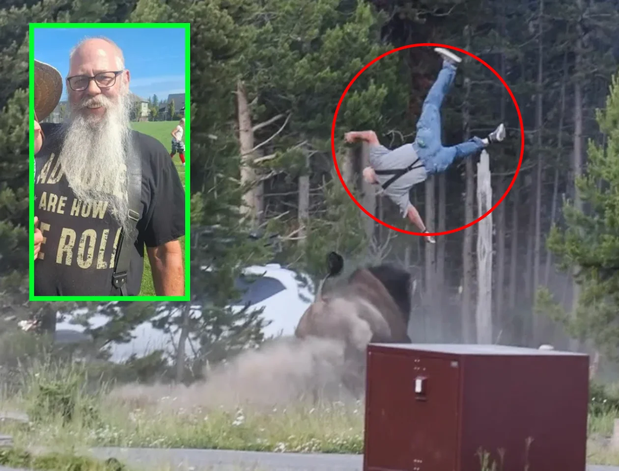 WATCH: 65-Year-Old Grandfather Flipped 8 Feet Into the Air by Charging Bison at Yellowstone While His Grandson Watched