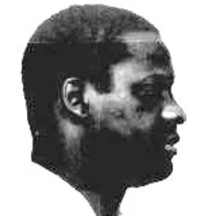 Charlie Livingston