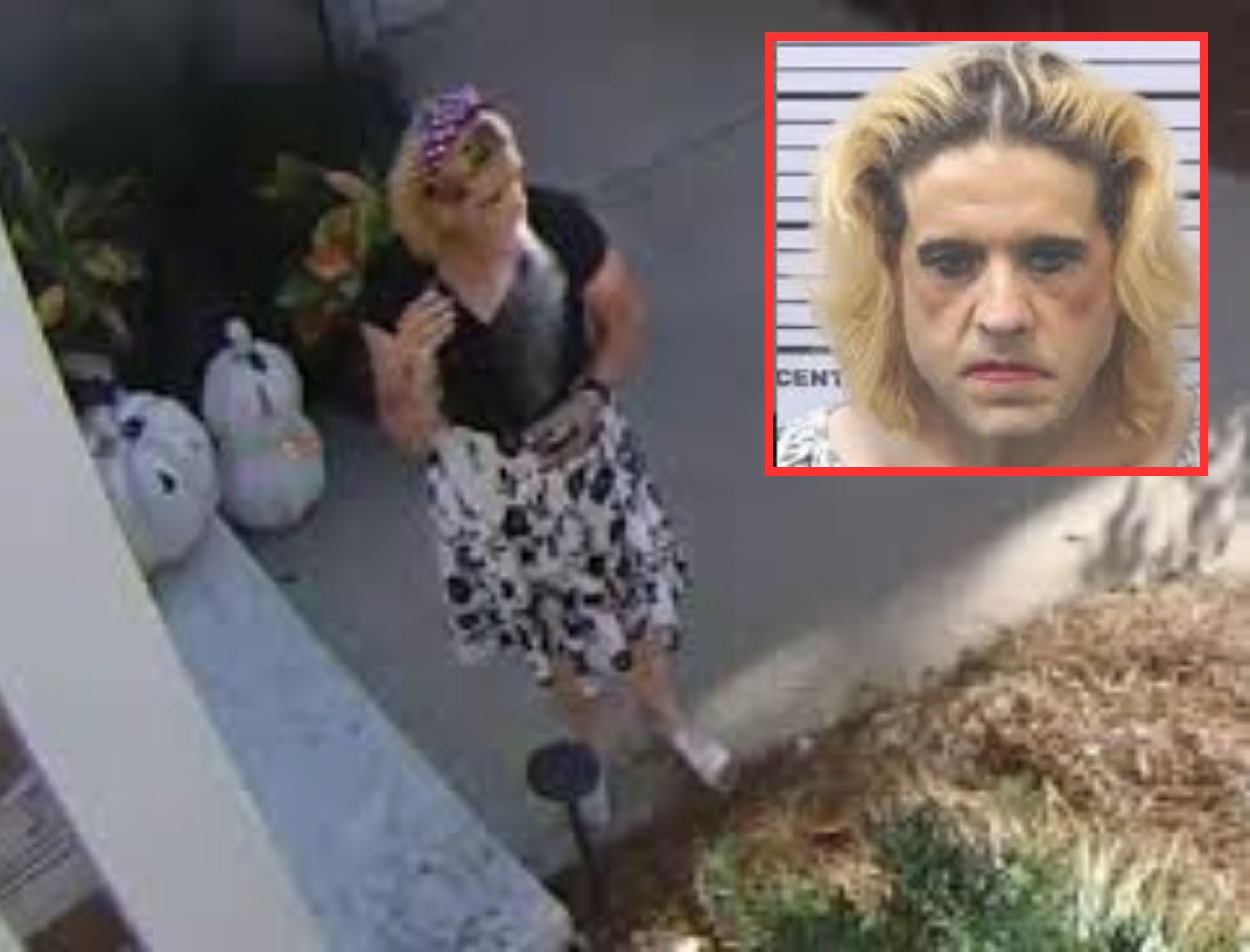 WATCH: Suspected 'Porch Pirate' Apprehended in Grand Bay; Stolen Packages Recovered